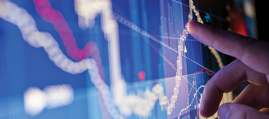 Empresas en Marchas - Intangibles